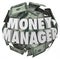 Money Manager 3d Words Ball Cash Financial Advisor