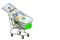 Money new design dollar shopping cart isolated on white background with clipping path