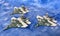 Money Origami Three Flying Jet Fighters