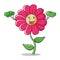 With money pink flower character cartoon