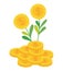 money plant and coins