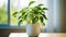 Money Plant in a Serene Living Hall