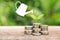 Money and plant with watering can and money tree, Saving money c