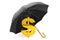 Money Protection Concept. Golden Dollar Sign under Umbrella