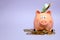 money saving personal account Finance smiling pink piggy bank surrounded by coin