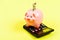 Money savings. Economics and finance. Piggy bank pink pig stuffed dollar banknote and calculator. Financial wellbeing