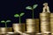 Money savings, investment, making money for future, financial wealth management concept. A plant growing on rising stacked coins