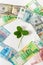 Money and shamrock. Four leaf clover among euro, dollar and ruble banknotes on white background. Wealth, success, business, lucky