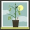 Money Sprouting - dollar bills sprouting from