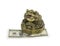 Money toad sitting on the dollar