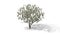 Money Tree animation