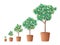 Money tree. The concept of a long-term investment strategy and capital increase. Finance. Vector illustration