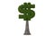 Money tree ,dollar symbol concept of green leaves.3D illustration.