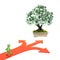 Money tree with euro banknotes