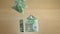 Money tree house symbol wooden table background