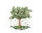 Money tree with hundred dollar bills growing on it and lying on