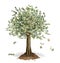 Money Tree with US Dollar banknotes in place of leaves.