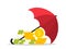 Money under an umbrella. Protect and insurance of money in bank. Icon of financial safety. Concept of save business, income.