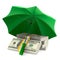 money under umbrella on white background. Isolated 3d illustration