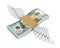 Money Wings Flying Isolated