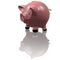 Moneybox piggy bank