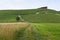 Monferrato (Piedmont): landscape