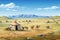 Mongol Steppes: Traditional Nomadic Life Unveiled