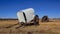 Mongolia cattle vehicle