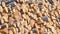 Mongolia. Stacked wood near the entrance to the camp near the lake Hovsgol near the village of khankh closeup.