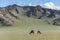 Mongolia Steppe with two Camels