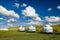 The Mongolia yurts on the grassland