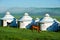 The Mongolia yurts and horses on the green summer grassland