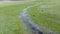 Mongolian Altai. Current mountain stream, Scenic valley on the background of the snowcapped mountains.