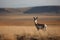 Mongolian gazelle. Generate Ai