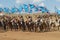 Mongolian horse riders take part in the traditional historical show of Genghis Khan era in Ulaanbaatar, Mongolia.