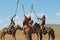 Mongolian horse riders take part in the traditional historical show of Genghis Khan era in Ulaanbaatar, Mongolia.