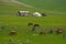 Mongolian landscape with horses and yurts