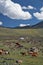 Mongolian landscape with mountain steppe under running cumulus clouds on blue sky, yurts and goats herd
