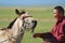 Mongolian man puts bridle on foal circa Kharkhorin, Mongolia.