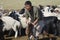 Mongolian man recalculates sheep before cutting wool for felt, circa Harhorin, Mongolia.