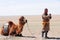 Mongolian nomadic herdsman with his camel