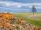 Mongolian steppe with colorful rocks