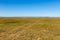 Mongolian steppe, road in the field