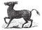 Mongolian Wild Ass or Khulan or Equus hemionus, vintage engraving