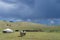 Mongolian yurt and horses