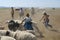 Mongolians recalculate sheep before cutting wool for felt, circa Harhorin, Mongolia.