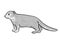 Mongoose or Helogale Parvula Endangered Wildlife Cartoon Mono Line Drawing