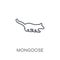 Mongoose linear icon. Modern outline Mongoose logo concept on wh