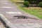 Monitor lizard, Varanus salvator, walking down the street in Lumpini park, Bangkok, Thailand