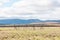 Monitoring plot in the Mountain Zebra National Park